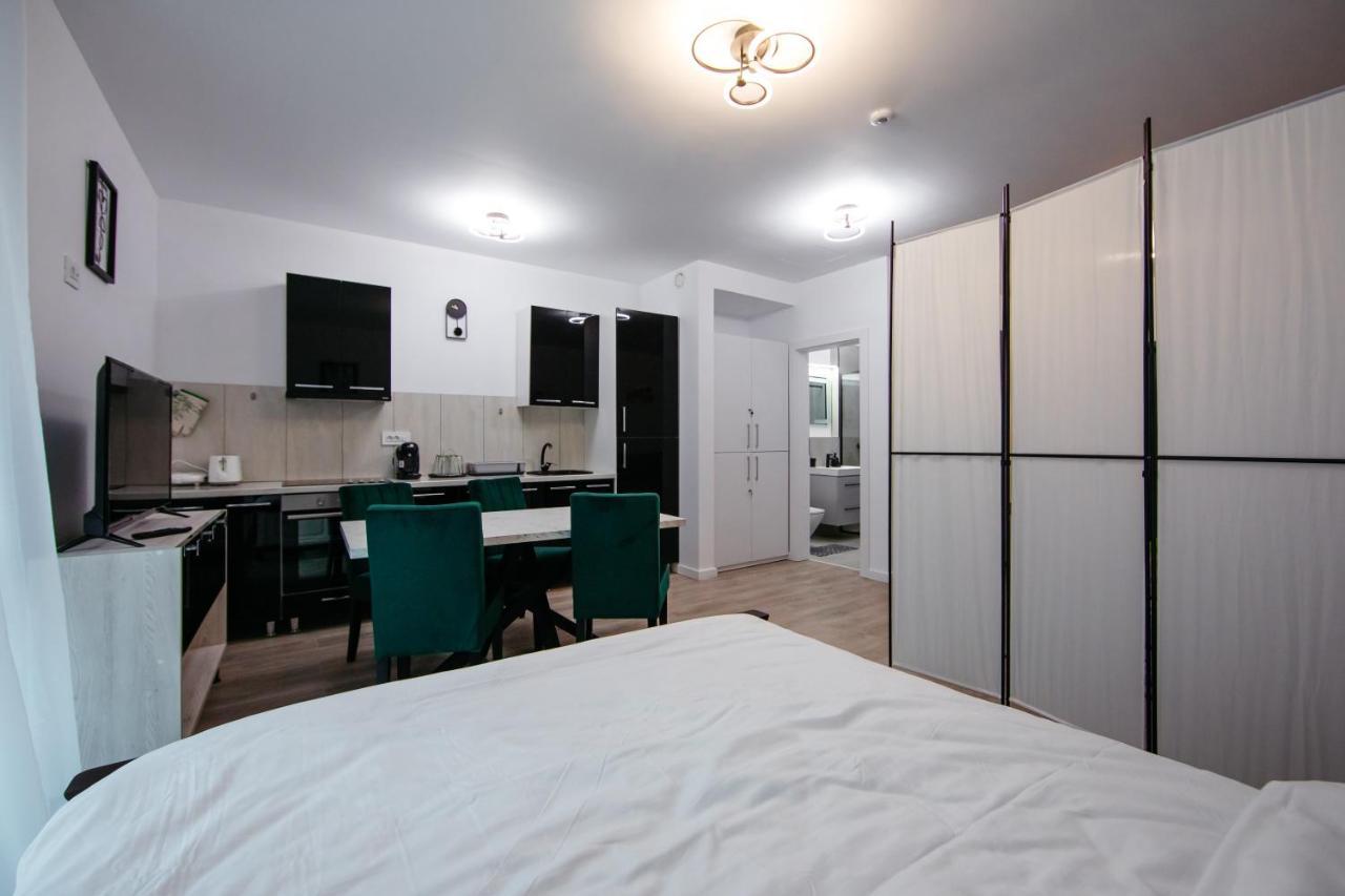 L&V Family Studio Apartment Синая Екстериор снимка