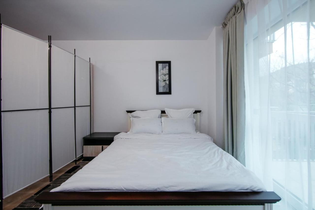 L&V Family Studio Apartment Синая Екстериор снимка