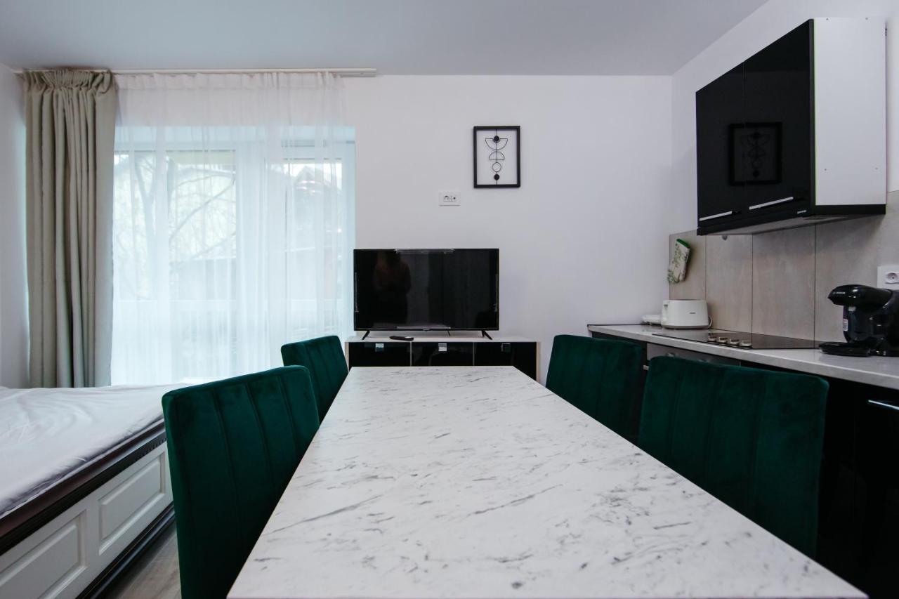 L&V Family Studio Apartment Синая Екстериор снимка